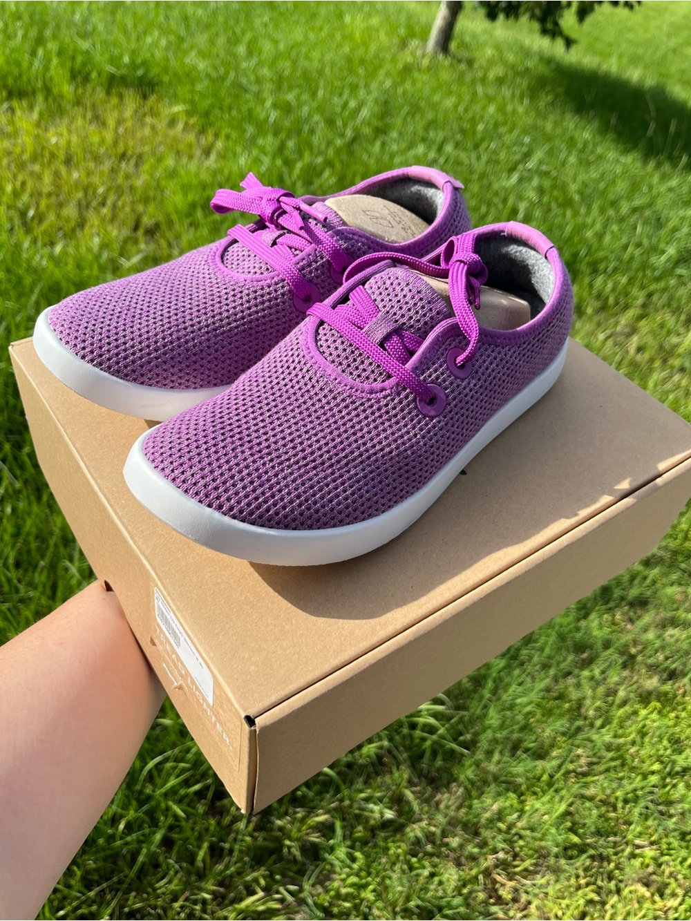 New in Box Allbirds Tree Skipper Sneakers in Lux Purple Size 8